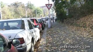 Скупые барби не платят за туалет и рискуют поссать на публике